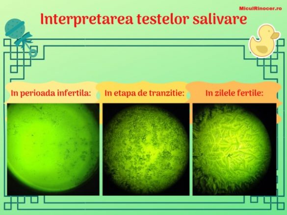 Ce Trebuie Sa Stii Despre Testele De Ovulatie