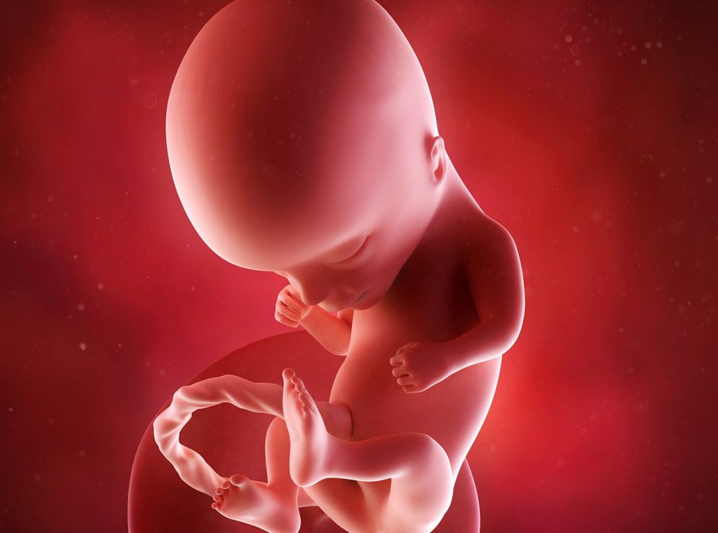 primul trimestru de sarcina - semne de sarcina - saptamana 14 de sarcina
